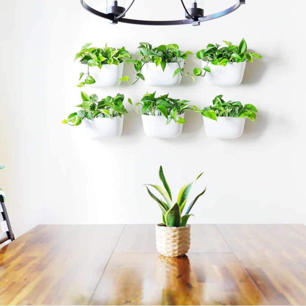 Planter for wall, Wally Grow, white planter, hanging planter